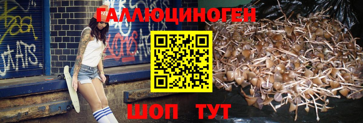 Истра  Галлюциногенные грибы мицелий  Вход с VPN 